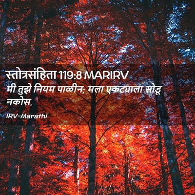 Picture 02 - स्तोत्रसंहिता 119:8 MARIRV - मी तुझे नियम पाळीन; - Bible Verse Picture