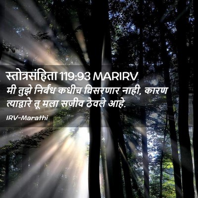 Picture 02 - स्तोत्रसंहिता 119:93 MARIRV - मी तुझे निर्बंध - Bible Verse Picture
