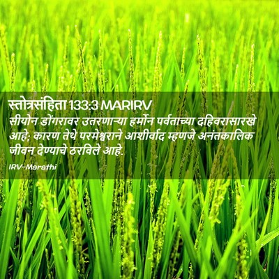 Picture 02 - स्तोत्रसंहिता 133:3 MARIRV - सीयोन डोंगरावर - Bible Verse Picture