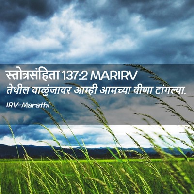 Picture 02 - स्तोत्रसंहिता 137:2 MARIRV - तेथील वाळुंजावर - Bible Verse Picture