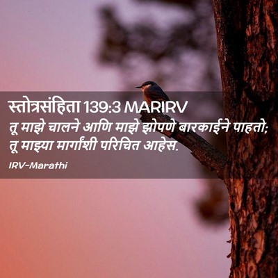 Picture 02 - स्तोत्रसंहिता 139:3 MARIRV - तू माझे चालने आणि - Bible Verse Picture
