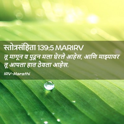Picture 02 - स्तोत्रसंहिता 139:5 MARIRV - तू मागून व पुढून - Bible Verse Picture
