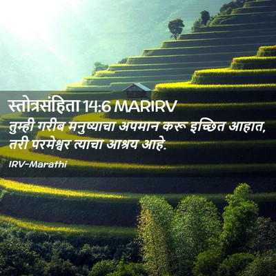 Picture 02 - स्तोत्रसंहिता 14:6 MARIRV - तुम्ही गरीब - Bible Verse Picture