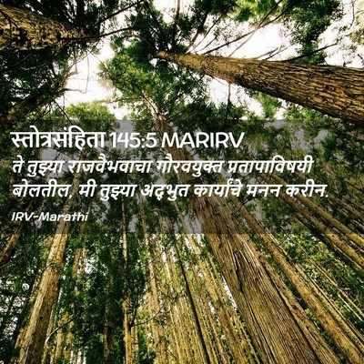 Picture 02 - स्तोत्रसंहिता 145:5 MARIRV - ते तुझ्या - Bible Verse Picture