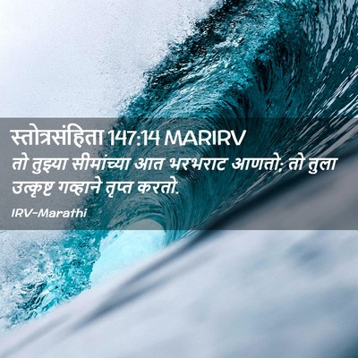 Picture 02 - स्तोत्रसंहिता 147:14 MARIRV - तो तुझ्या - Bible Verse Picture