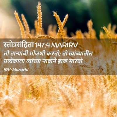 Picture 02 - स्तोत्रसंहिता 147:4 MARIRV - तो ताऱ्यांची - Bible Verse Picture
