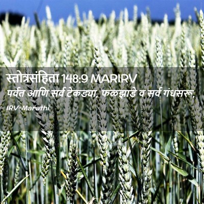 Picture 02 - स्तोत्रसंहिता 148:9 MARIRV - पर्वत आणि सर्व - Bible Verse Picture
