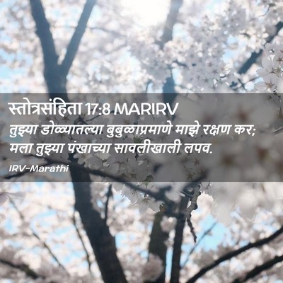 Picture 02 - स्तोत्रसंहिता 17:8 MARIRV - तुझ्या - Bible Verse Picture
