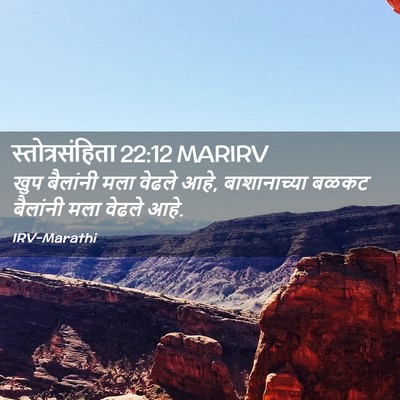 Picture 02 - स्तोत्रसंहिता 22:12 MARIRV - खुप बैलांनी मला - Bible Verse Picture