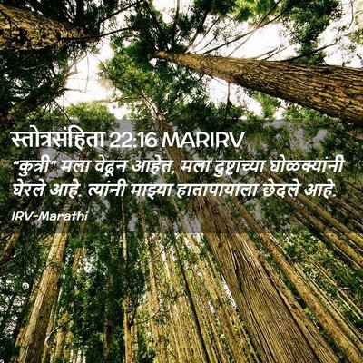 Picture 02 - स्तोत्रसंहिता 22:16 MARIRV - “कुत्री” मला - Bible Verse Picture