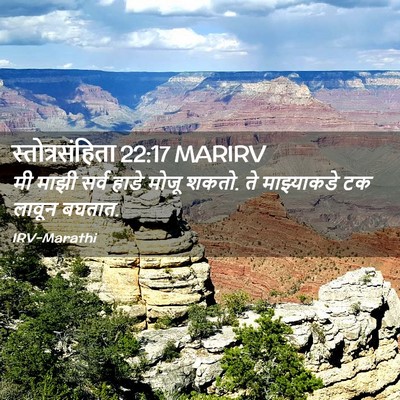Picture 02 - स्तोत्रसंहिता 22:17 MARIRV - मी माझी सर्व हाडे - Bible Verse Picture