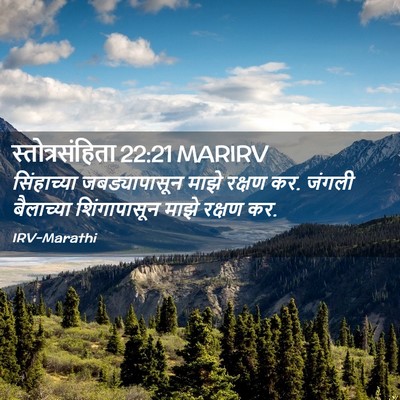Picture 02 - स्तोत्रसंहिता 22:21 MARIRV - सिंहाच्या - Bible Verse Picture