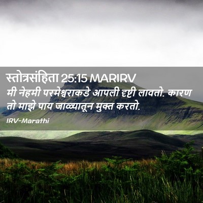 Picture 02 - स्तोत्रसंहिता 25:15 MARIRV - मी नेहमी - Bible Verse Picture