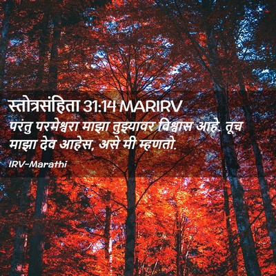 Picture 02 - स्तोत्रसंहिता 31:14 MARIRV - परंतु परमेश्वरा - Bible Verse Picture