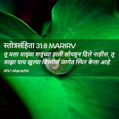 Picture 02 - स्तोत्रसंहिता 31:8 MARIRV - तू मला माझ्या - Bible Verse Picture