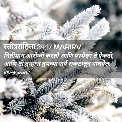 Picture 02 - स्तोत्रसंहिता 34:17 MARIRV - नितीमान आरोळी - Bible Verse Picture