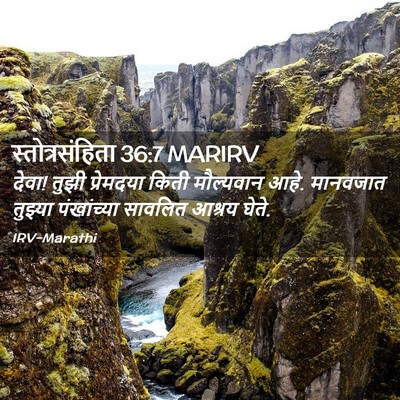 Picture 02 - स्तोत्रसंहिता 36:7 MARIRV - देवा! तुझी - Bible Verse Picture