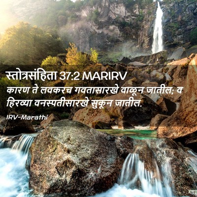 Picture 02 - स्तोत्रसंहिता 37:2 MARIRV - कारण ते लवकरच - Bible Verse Picture