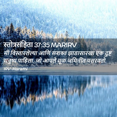 Picture 02 - स्तोत्रसंहिता 37:35 MARIRV - मी विस्तारलेल्या - Bible Verse Picture