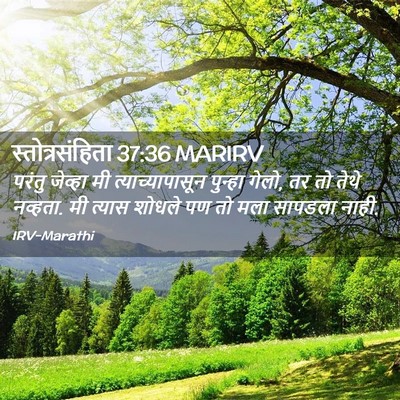 Picture 02 - स्तोत्रसंहिता 37:36 MARIRV - परंतु जेव्हा मी - Bible Verse Picture