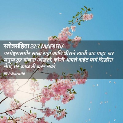 Picture 02 - स्तोत्रसंहिता 37:7 MARIRV - परमेश्वरासमोर - Bible Verse Picture