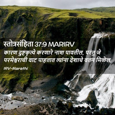 Picture 02 - स्तोत्रसंहिता 37:9 MARIRV - कारण दुष्टकृत्ये - Bible Verse Picture