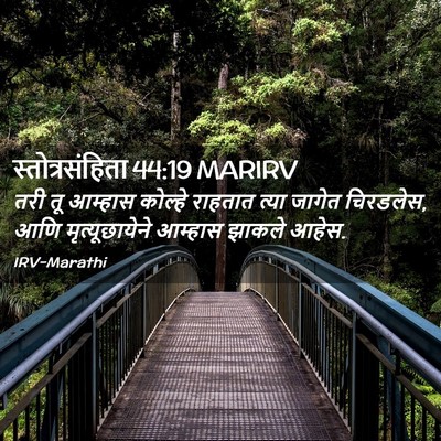Picture 02 - स्तोत्रसंहिता 44:19 MARIRV - तरी तू आम्हास - Bible Verse Picture