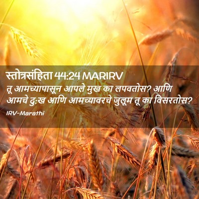 Picture 02 - स्तोत्रसंहिता 44:24 MARIRV - तू आमच्यापासून - Bible Verse Picture