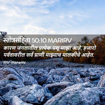 Picture 02 - स्तोत्रसंहिता 50:10 MARIRV - कारण जंगलातील - Bible Verse Picture