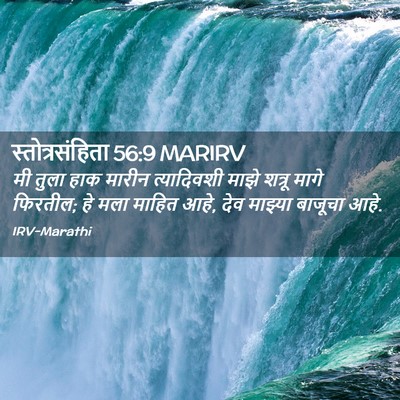 Picture 02 - स्तोत्रसंहिता 56:9 MARIRV - मी तुला हाक मारीन - Bible Verse Picture