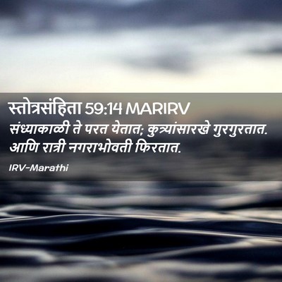 Picture 02 - स्तोत्रसंहिता 59:14 MARIRV - संध्याकाळी ते परत - Bible Verse Picture