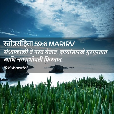 Picture 02 - स्तोत्रसंहिता 59:6 MARIRV - संध्याकाळी ते परत - Bible Verse Picture