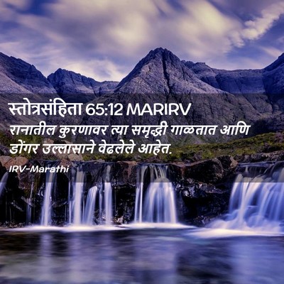 Picture 02 - स्तोत्रसंहिता 65:12 MARIRV - रानातील कुरणावर - Bible Verse Picture