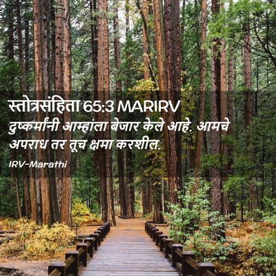 Picture 02 - स्तोत्रसंहिता 65:3 MARIRV - दुष्कर्मांनी - Bible Verse Picture