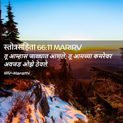Picture 02 - स्तोत्रसंहिता 66:11 MARIRV - तू आम्हास जाळ्यात - Bible Verse Picture