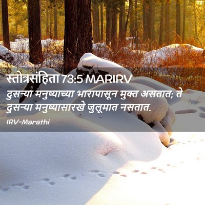 Picture 02 - स्तोत्रसंहिता 73:5 MARIRV - दुसऱ्या - Bible Verse Picture