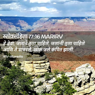 Picture 02 - स्तोत्रसंहिता 77:16 MARIRV - हे देवा, जलाने तुला - Bible Verse Picture