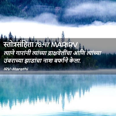 Picture 02 - स्तोत्रसंहिता 78:47 MARIRV - त्याने गारांनी - Bible Verse Picture