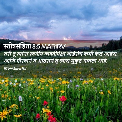 Picture 02 - स्तोत्रसंहिता 8:5 MARIRV - तरी तू त्यांना - Bible Verse Picture