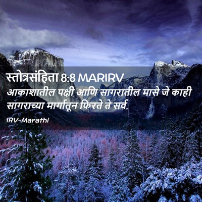 Picture 02 - स्तोत्रसंहिता 8:8 MARIRV - आकाशातील पक्षी - Bible Verse Picture