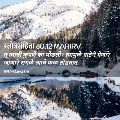 Picture 02 - स्तोत्रसंहिता 80:12 MARIRV - तू त्यांची कुंपणे - Bible Verse Picture