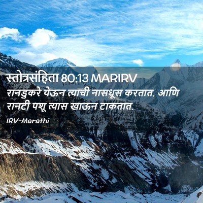 Picture 02 - स्तोत्रसंहिता 80:13 MARIRV - रानडुकरे येऊन - Bible Verse Picture