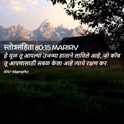 Picture 02 - स्तोत्रसंहिता 80:15 MARIRV - हे मूळ तू आपल्या - Bible Verse Picture