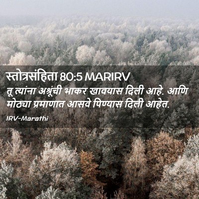 Picture 02 - स्तोत्रसंहिता 80:5 MARIRV - तू त्यांना - Bible Verse Picture