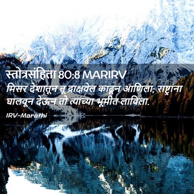 Picture 02 - स्तोत्रसंहिता 80:8 MARIRV - मिसर देशातून तू - Bible Verse Picture
