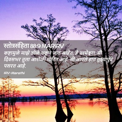 Picture 02 - स्तोत्रसंहिता 88:9 MARIRV - कष्टामुळे माझे - Bible Verse Picture