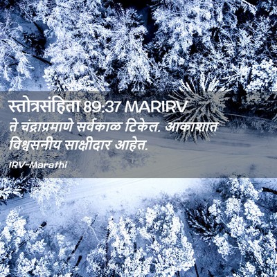 Picture 02 - स्तोत्रसंहिता 89:37 MARIRV - ते चंद्राप्रमाणे - Bible Verse Picture