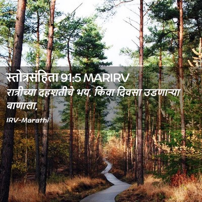 Picture 02 - स्तोत्रसंहिता 91:5 MARIRV - रात्रीच्या - Bible Verse Picture