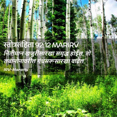 Picture 02 - स्तोत्रसंहिता 92:12 MARIRV - नितीमान - Bible Verse Picture