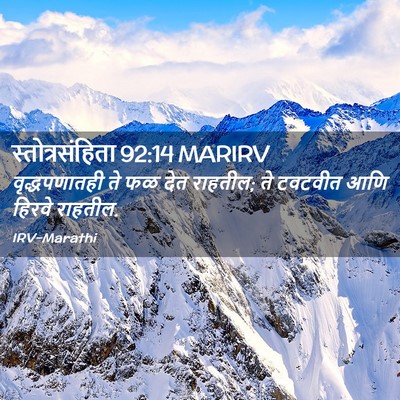 Picture 02 - स्तोत्रसंहिता 92:14 MARIRV - वृद्धपणातही ते फळ - Bible Verse Picture